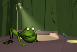 maya-grenouille-2003