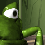 maya-grenouille-2003