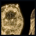 Décorations lumineuses 3D | viviane perret |